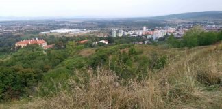 Úvodník