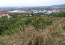 Hlohovec príde v roku 2020 o takmer 460000€