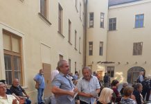 Magické STROMY S TROMI alebo aká je sila umenia