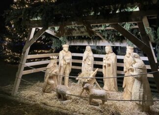 Vianoce prevoňané vôňou lesa