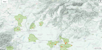 Prvé pozorovanie Perillus bioculatus na Slovensku je z Hlohovca