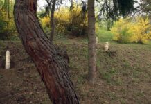 Z ateliéru do exteriéru – keď študentské umenie ožíva v priestore