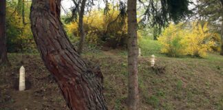 Z ateliéru do exteriéru – keď študentské umenie ožíva v priestore