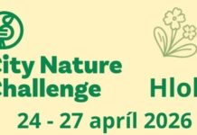 Hlohovec má čo ukázať – pridaj svoje pozorovania v globálnej výzve