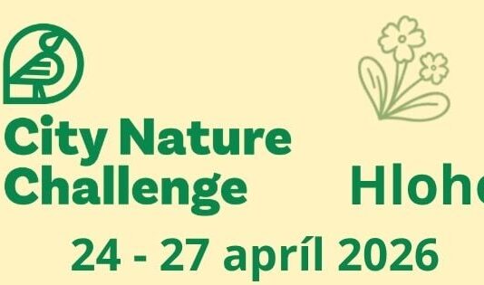 Hlohovec má čo ukázať – pridaj svoje pozorovania v globálnej výzve