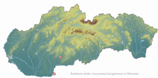 Ďalší významný objav v projekte Flora et fauna Hlohoveciensis: Bzdocha bielopásavá