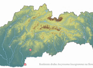 Ďalší významný objav v projekte Flora et fauna Hlohoveciensis: Bzdocha bielopásavá